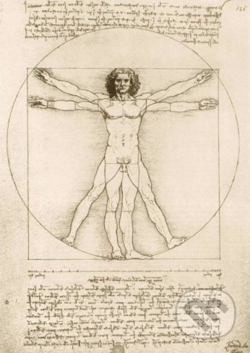 Leonardo Da Vinci - The Vitruvian Man, 1490 - Bluebird