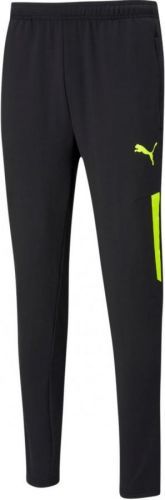 Kalhoty Puma teamLIGA Training Pants Pro