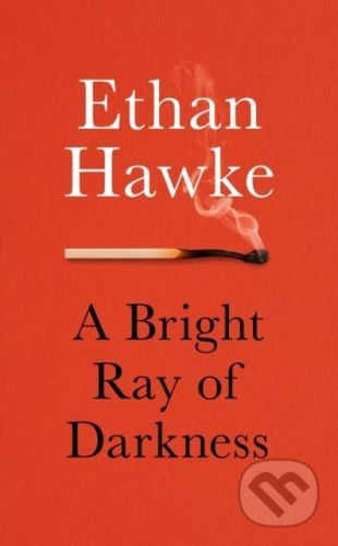 A Bright Ray of Darkness - Ethan Hawke