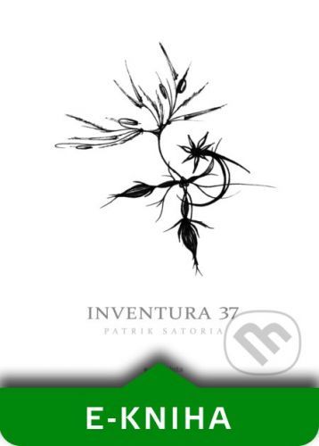 Inventura 37 - Patrik Satoria