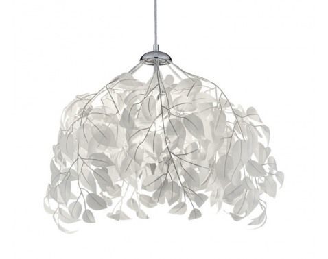 Lustr Leavy R10461901