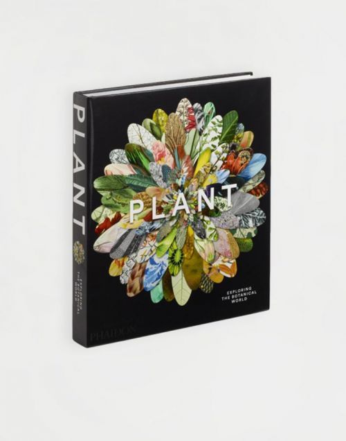 Plant: Exploring the Botanical World (Phaidon Press)(Pevná vazba)
