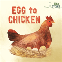 Life Cycles: Egg to Chicken (Tonkin Rachel)(Paperback / softback)