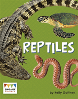 Reptiles (Gaffney Kelly)(Paperback / softback)