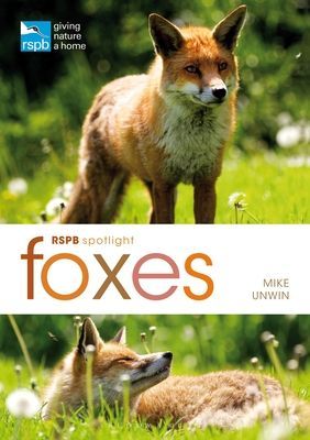 RSPB Spotlight: Foxes (Unwin Mike)(Paperback / softback)