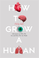 How to Grow a Human - Adventures in Who We are and How We are Made (Ball Philip)(Paperback / softback)