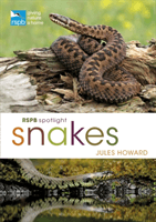 RSPB Spotlight Snakes (Howard Jules)(Paperback / softback)