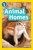 Animal Homes - Level 1 (Evans Shira)(Paperback / softback)