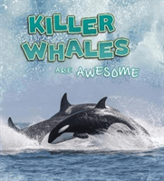 Killer Whales Are Awesome (Jaycox Jaclyn)(Paperback / softback)
