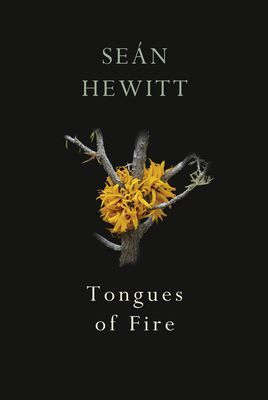 Tongues of Fire (Hewitt Sean)(Paperback / softback)