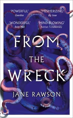 From The Wreck (Rawson Jane)(Paperback / softback)