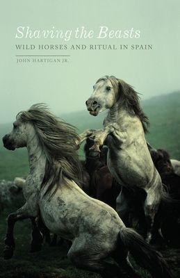 Shaving the Beasts - Wild Horses and Ritual in Spain (Hartigan Jr. John)(Paperback / softback)