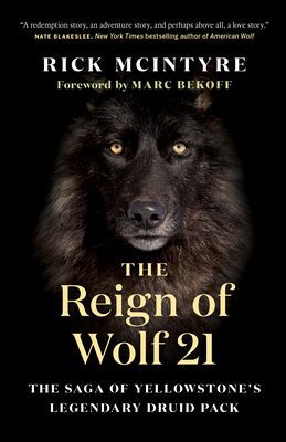 Reign of Wolf 21 - The Saga of Yellowstone's Legendary Druid Pack (McIntyre Rick)(Pevná vazba)