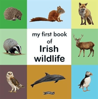My First Book of Irish Wildlife(Board book)