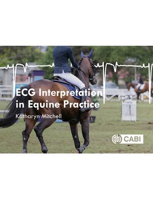 ECG Interpretation in Equine Practice (Mitchell Katharyn (University of Zurich Switzerland))(Paperback / softback)