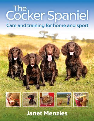 Cocker Spaniel - Care and Training for Home and Sport (Menzies Janet)(Paperback / softback)