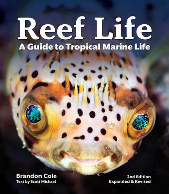 Reef Life - A Guide to Tropical Marine Life (Scott Michael)(Paperback / softback)