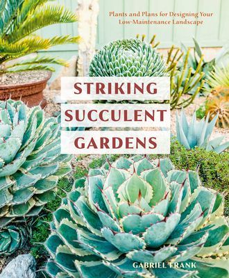 Striking Succulent Gardens - Plants and Plans for Designing Your Low-Maintenance Landscape (Frank Gabriel)(Paperback / softback)