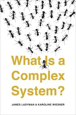 What Is a Complex System? (Ladyman James)(Paperback / softback)