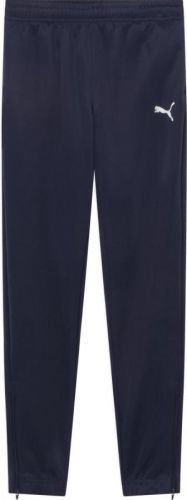 Kalhoty Puma teamRISE Poly Training Pants