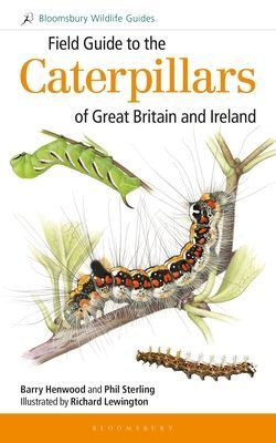 Field Guide to the Caterpillars of Great Britain and Ireland (Sterling Dr Phil)(Paperback / softback)