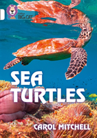 Sea Turtles - Band 10/White (Mitchell Carol)(Paperback / softback)