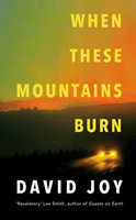 When These Mountains Burn (Joy David)(Pevná vazba)