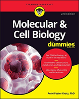 Molecular & Cell Biology For Dummies (Fester Kratz Rene)(Paperback / softback)