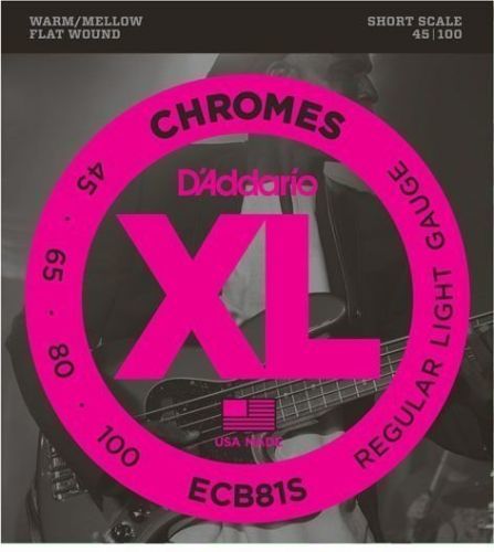D´Addario ECB 81S Chromes Bass Regular Light 45-100