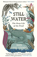 Still Water - The Deep Life of the Pond (Lewis-Stempel John)(Paperback / softback)