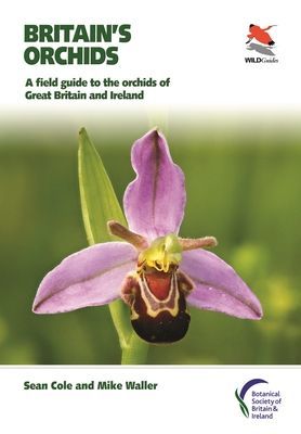 Britain's Orchids - A Field Guide to the Orchids of Great Britain and Ireland (Cole Sean)(Paperback / softback)