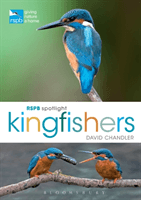 RSPB Spotlight Kingfishers (Chandler David)(Paperback / softback)