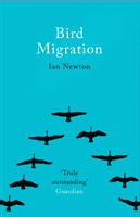 Bird Migration (Newton Ian)(Paperback / softback)