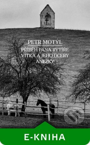 Příběh pana rytíře Vítka a jeho dcery Anežky - Petr Motýl