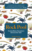 Rock Pool: Extraordinary Encounters Between the Tides - A Life -Long Fascination told in Twenty-Four Creatures (Buttivant Heather)(Paperback / softback)
