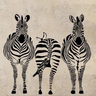 Zebra 015 - 110x100cm