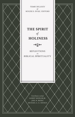 SPIRIT OF HOLINESS (DELANEY TERRY)(Paperback)