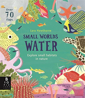Small Worlds: Water (Murray Lily)(Board book)