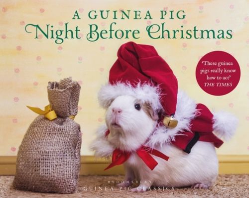 Guinea Pig Night Before Christmas (Moore Clement Clarke)(Pevná vazba)