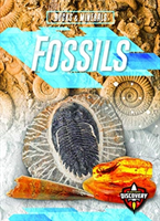 Fossils (Perish Patrick)(Pevná vazba)