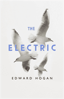 Electric (Hogan Edward)(Pevná vazba)