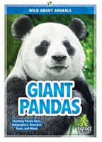 Giant Pandas (London Martha)(Pevná vazba)