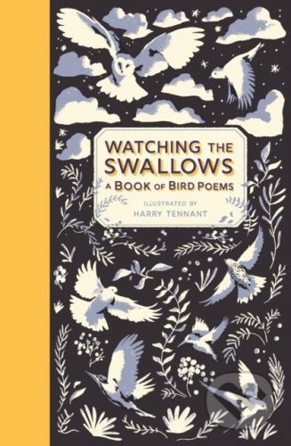 Watching the Swallows - Harry Tennant (ilustrátor)