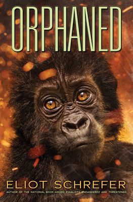 Orphaned (Ape Quartet #4), Volume 4 (Schrefer Eliot)(Paperback)