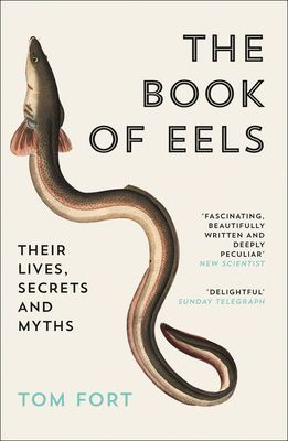 Book of Eels - Their Lives, Secrets and Myths (Fort Tom)(Paperback / softback)