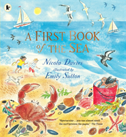 First Book of the Sea (Davies Nicola)(Paperback / softback)