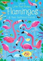 Little First Stickers Flamingos (Robson Kirsteen)(Paperback / softback)