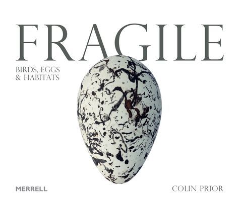 Fragile: Birds, Eggs & Habitats (Prior Colin)(Pevná vazba)