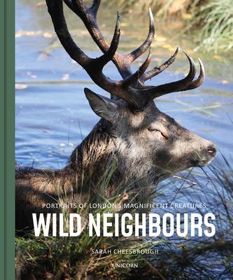 Wild Neighbours - Portraits of London's Magnificent Creatures (Cheesbrough Sarah)(Pevná vazba)