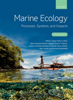 Marine Ecology - Processes, Systems, and Impacts(Paperback / softback)